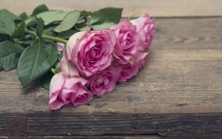 Прими участие в онлайн-проекте!