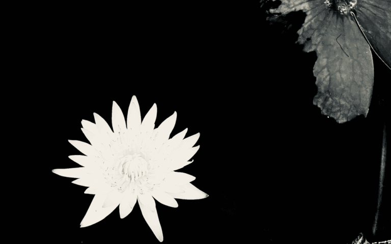 MiyaGi & Эндшпиль – Наоборот